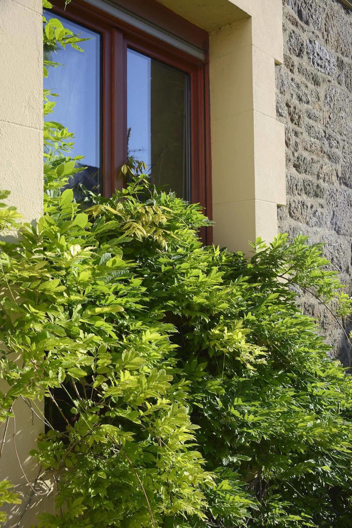 Les Charmettes Hotel Saint-Malo Eksteriør billede